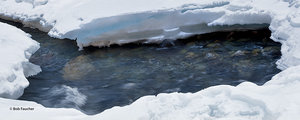 Twisp River Ice Shelves