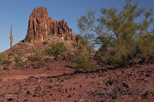 Volcanic Plug, Organ Pipe Cactus NM
