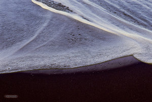 Waimea Beach Foam