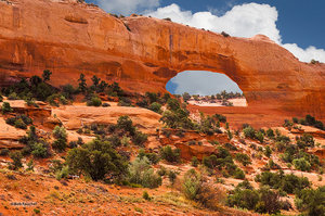 Wilson Arch