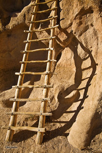 Wooden Ladder & Shadow