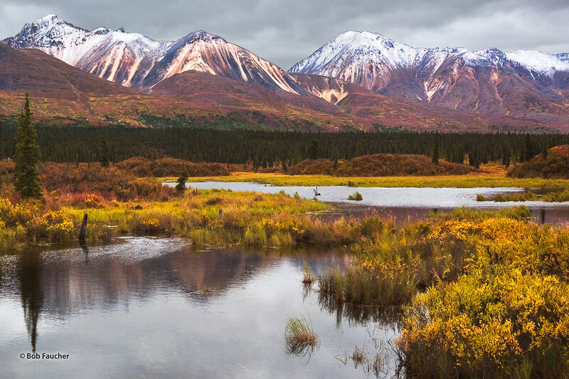 Brushkana Creek Alaska Robert Faucher Photography