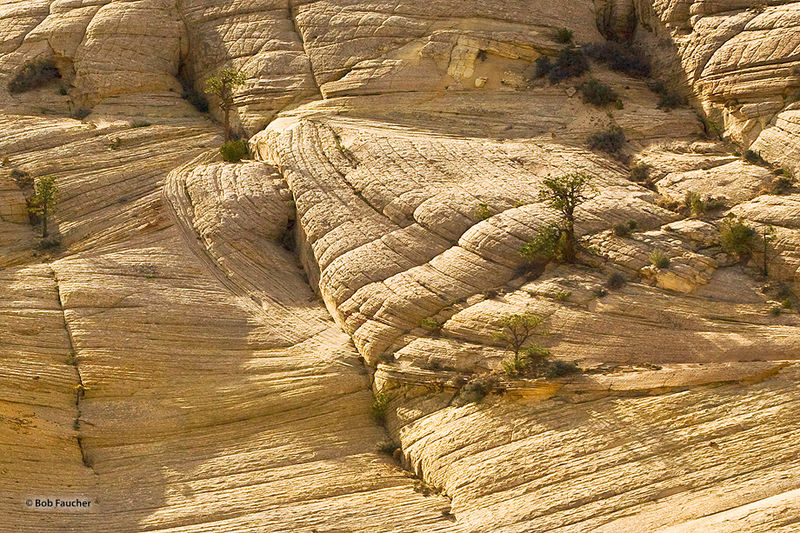 Grand Staircase Escalante Robert Faucher Photography