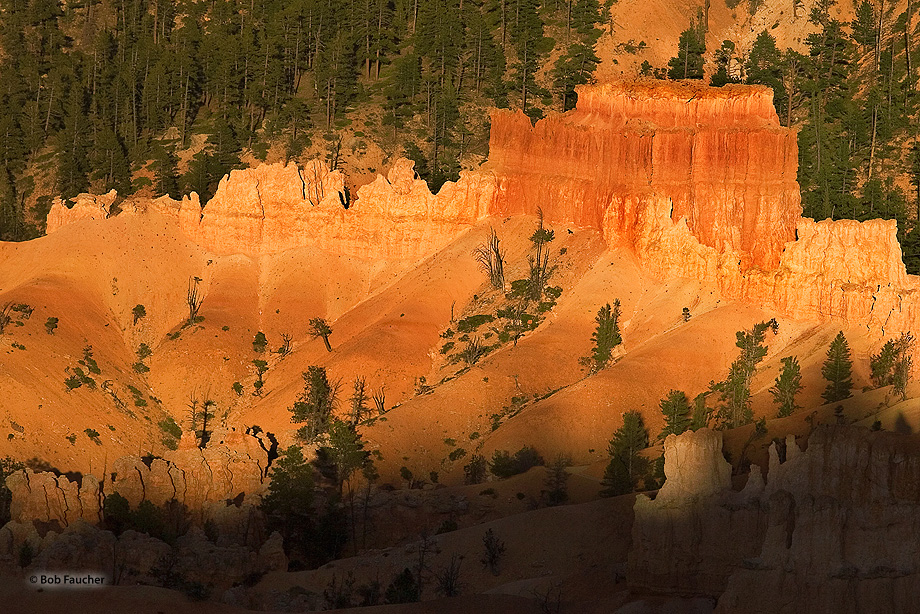 A large hoodoo, with advancing shadows at its base, remains lit by the late afternoon sun.