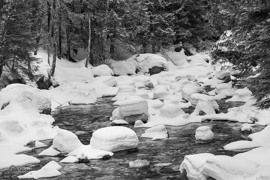 Snow hummocks formed over large boulders in the South Fork of the Snoqualmie River and generated an aggregate.