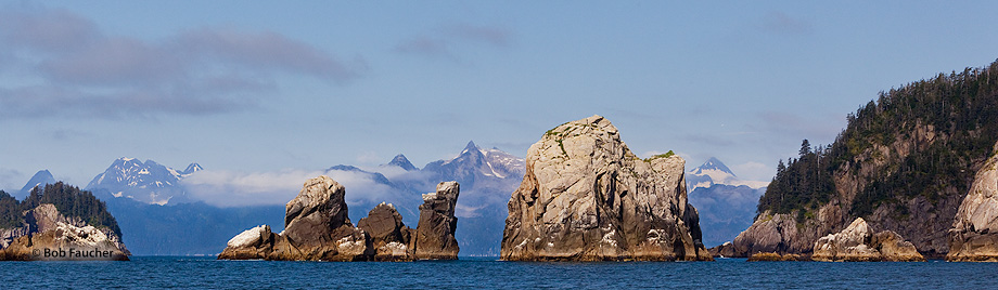 As with many coves in the Kenai Fjords NP, the entrance to Aialik Bay at Aialik Cape is guarded by a phalanx of sea stacks