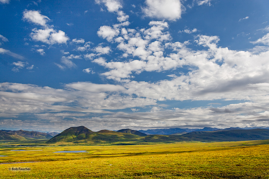 Arctic National Wildlife Refuge, home of the Porcupine Caribou Herd, extends from the Arctic Coastal Plain into the Smith Mountains...