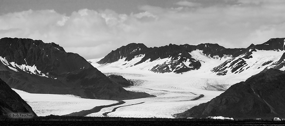 Streaming down from the Harding Ice Field, Bear Glacier terminates in a lake filled with ice in every imaginable form, jostling...