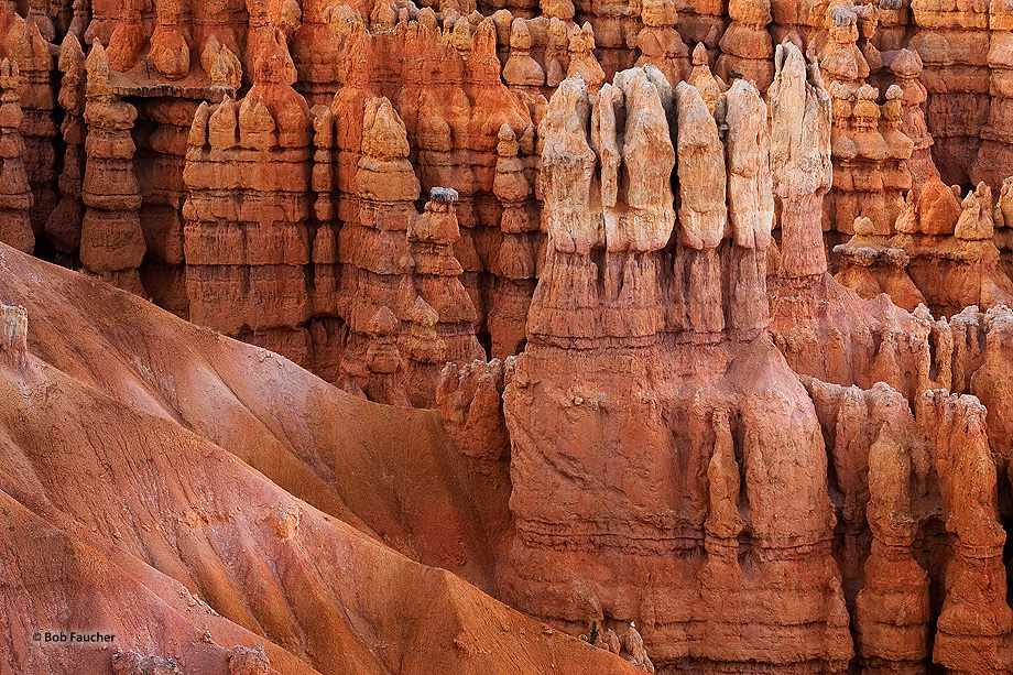 Having recently returned from Churchill where I was photographing polar bears, this group of white hoodoos looked to me like...