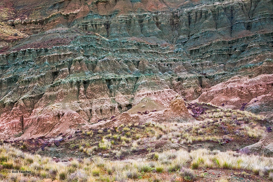 This blue-green rock layer represents millions of years of volcanic ash accumulation. Surprisingly enough, the green tint is...