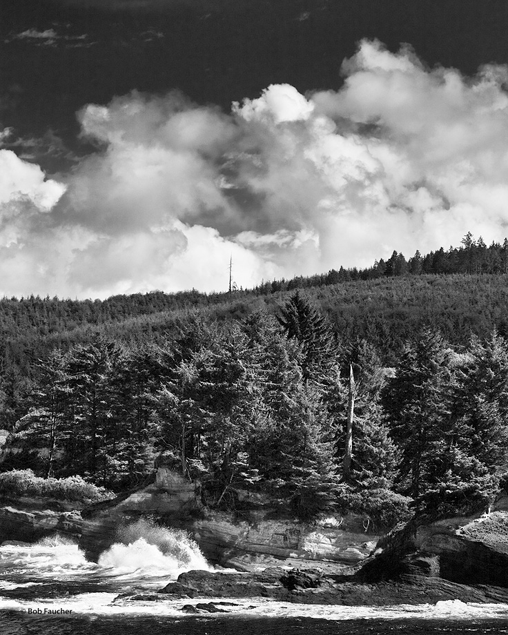 Coniferous forests, under heavy clouds, cover the headlands above Boiler Bay