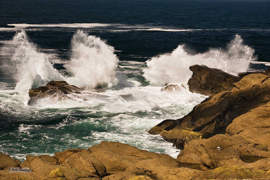 Pounding surf crashes against the rocks and headland generating explosive plumes as a solitary gull watches calmly from its protected...
