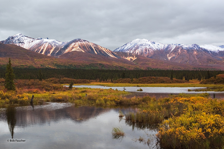 Brushkana Creek Alaska Robert Faucher Photography
