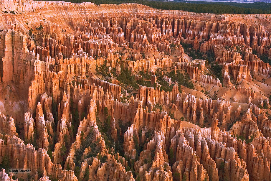 The hoodoos in Bryce Amphitheater, tall skinny spires of rock that protrude from the bottom of arid basins, rise hundreds of...