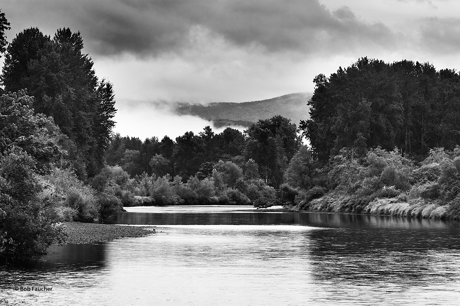 The Snoqualmie River peacefully wends its way through the Carnation Valley on  a morning with low clouds and fog hugging the...