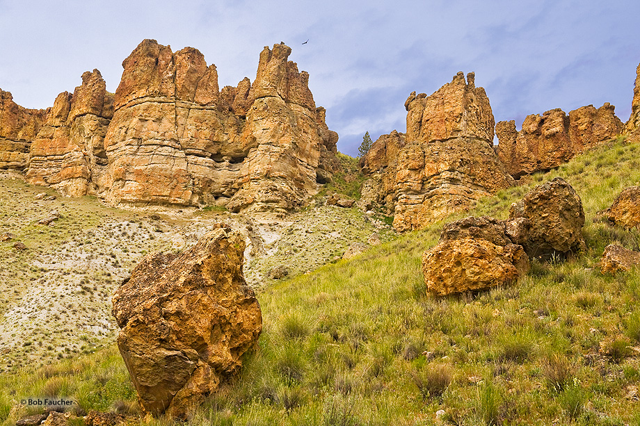 The mostly grassy hillsides bordering Pine Creek are interrupted for a mile or so by a line of jagged, eroded cliffs - the Palisades...