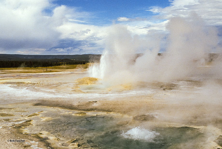 This nearly constant performer splashes from several vents and its steam can be seen throughout the Lower Geyser Basin. Its name...
