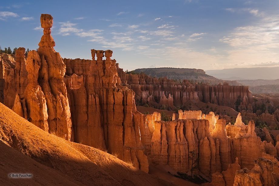 A cluster of hoodoos is struck by a small shaft of morniing sunlight causing them to glow, outshining their more famous neighbor...