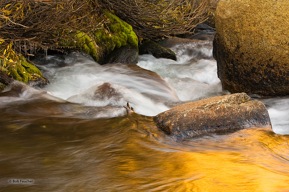 A small drop in the creek marks the border between the flat water, with its golden reflection above the drop, and the white water...