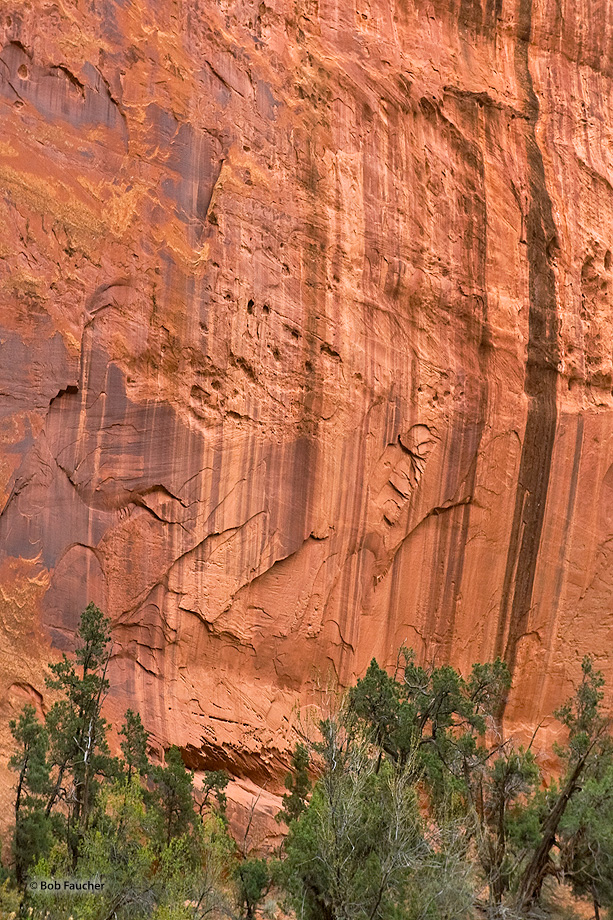 Desert Varnish EscalanteGrand Staircase Robert Faucher Photography