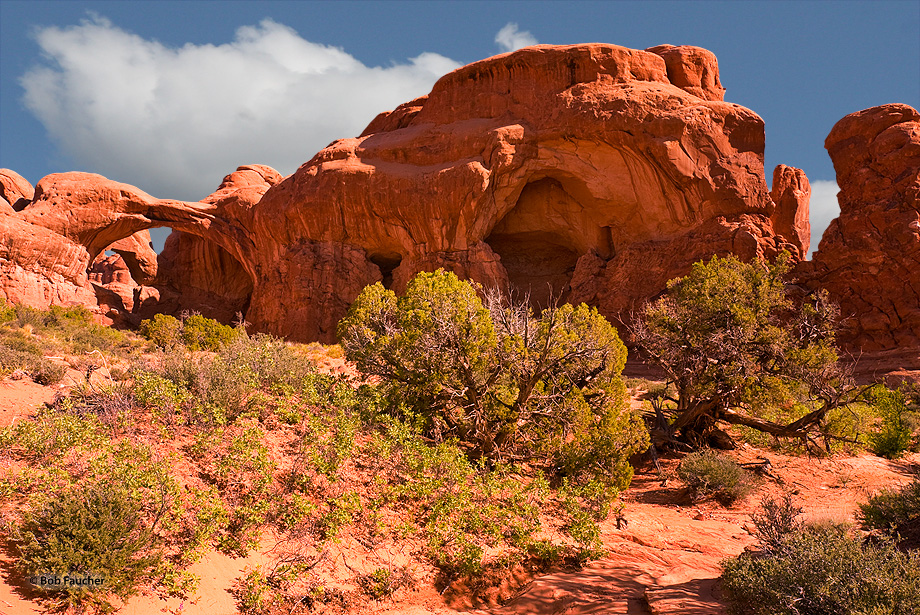 Double Arch lies at the end of a much larger formation complete with windows and a connecting channel between them