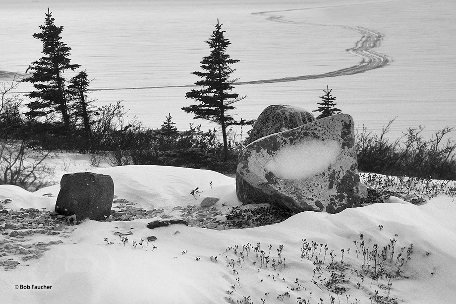 The frozen surface of Dymond Lake, covered with recent snow, has been disrupted with snowmobile tracks.