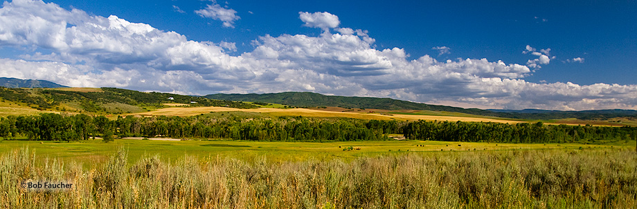 Elk River valley near Steamboat Springs, Colorado is a gorgeous high-country valley that is blessed with wide expanses, pasture...