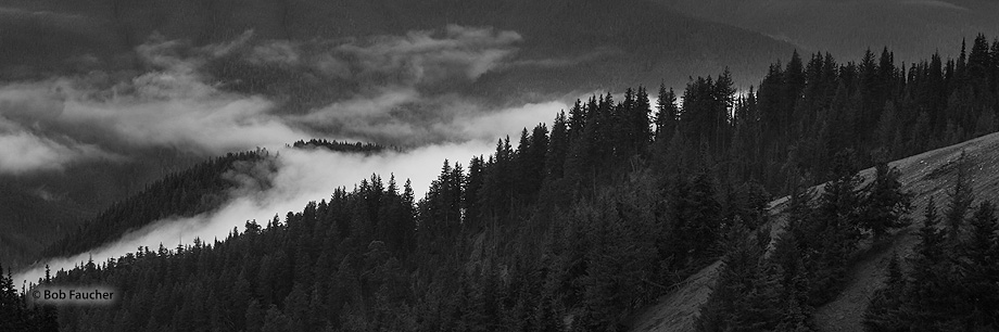 Morning fog fills the Elwha River Valley between Hurricane Ridge and the Olympic mountains