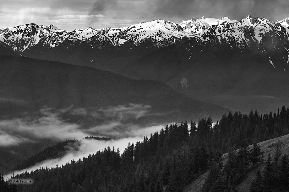 Morning fog fills the Elwha River Valley between Hurricane Ridge and the Olympic mountains