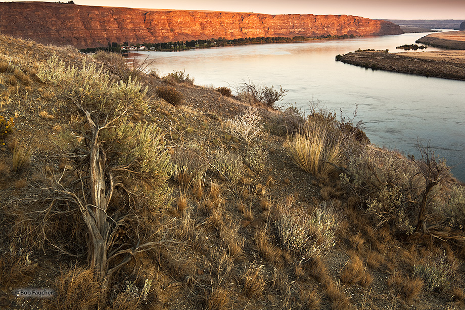 The setting sun floods the eastern wall of the Columbia Gorge above Crescent Bar