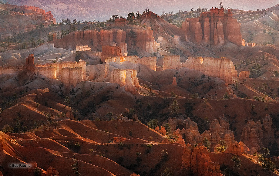 Sunrise lights up the hoodoos, the quintessential feature of Bryce Canyon, as viewed from across the canyon at Sunset Point....