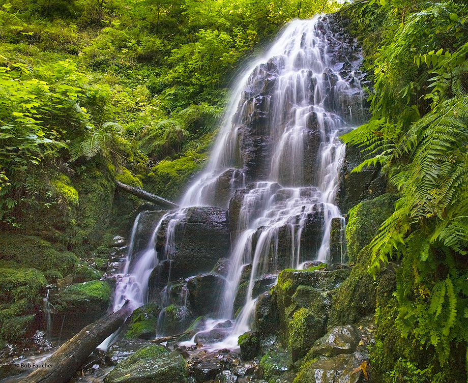 Fairy Falls is a 20-foot waterfall on the Oregon side of the Columbia River Gorge. While small, this fan-shaped waterfall  cascades...