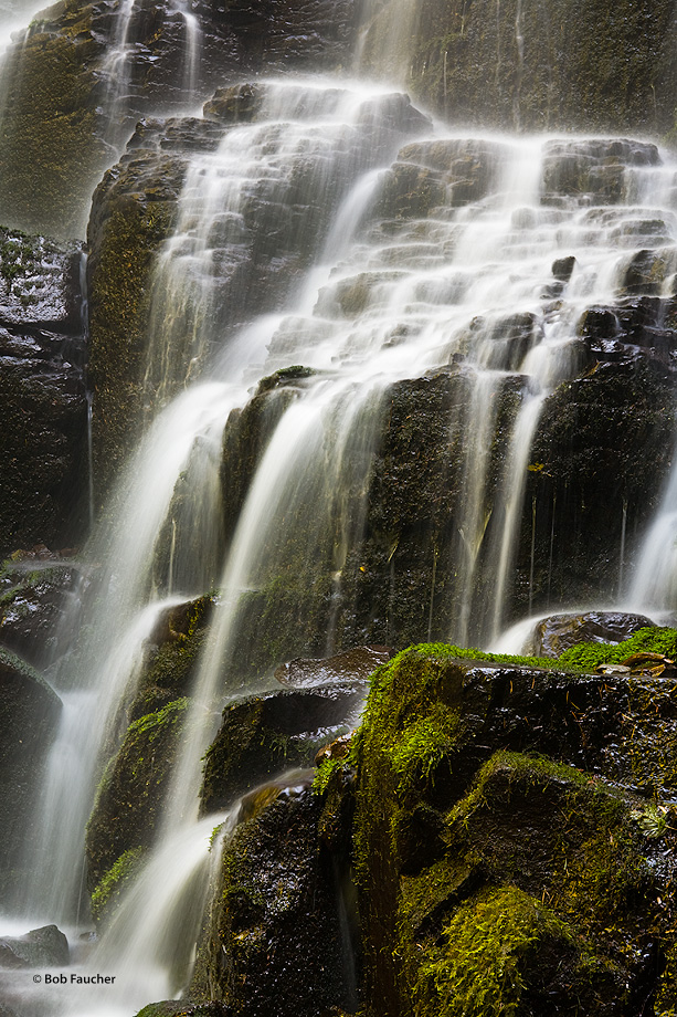 Fairy Falls is a 20-foot waterfall on the Oregon side of the Columbia River Gorge. This fan-shaped waterfall cascades through...