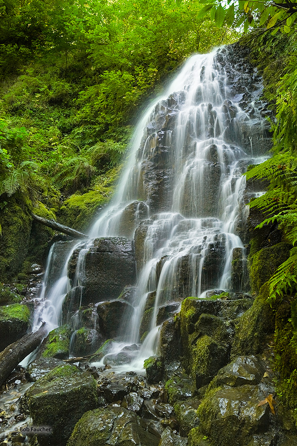 Fairy Falls is a 20-foot waterfall on the Oregon side of the Columbia River Gorge. This fan-shaped waterfall cascades through...