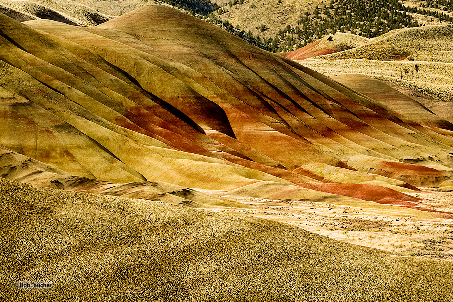 Erosion of the homogenous bentonite creates smooth flowing forms which contrast with the sharp demarcations of colors within...