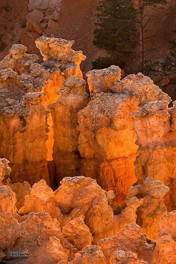 The opening of Bryce Amphitheater faces East. The warm, low, light at sunrise enters the Amphitheater lighting the hoodos from...