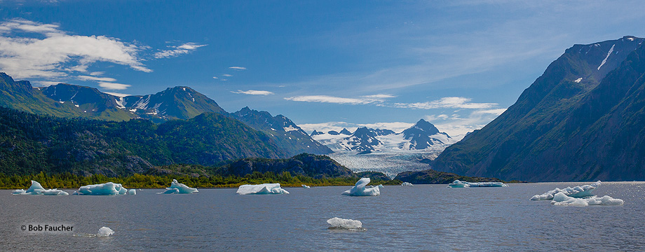 Grewingk Glacier is a 13-mile-long glacier located in the Kenai Mountains, near Kachemak Bay that empties into a terminal lake...