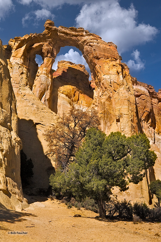 Grosvenor Arch is a unique sandstone double arch towering 150ft/45m above the ground located in the north western corner of the...