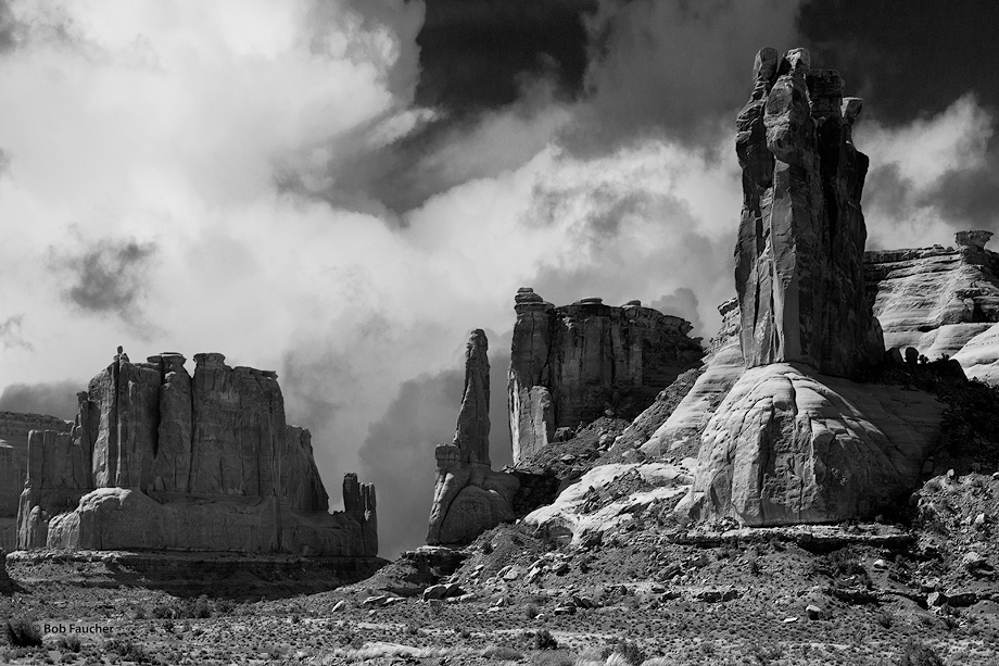 Just east of Balanced Rock, on the road to the Windows section, lies this collection of pinnacles, spires and buttes with Ham...