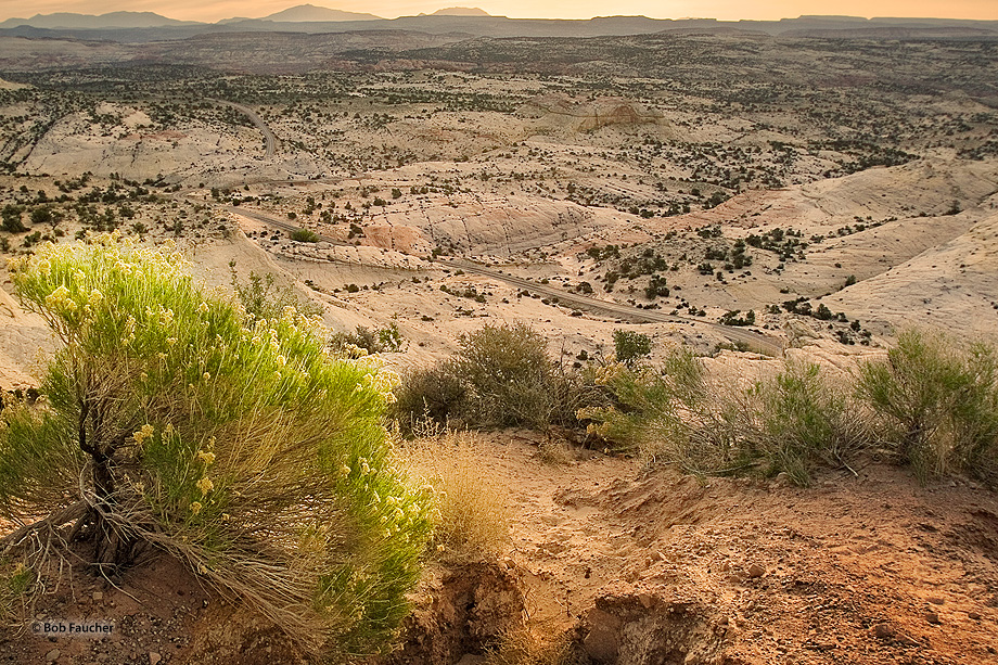 Head of the Rocks Overlook provides expansive views out across the Escalante Canyons where colorful slickrock stretches almost...