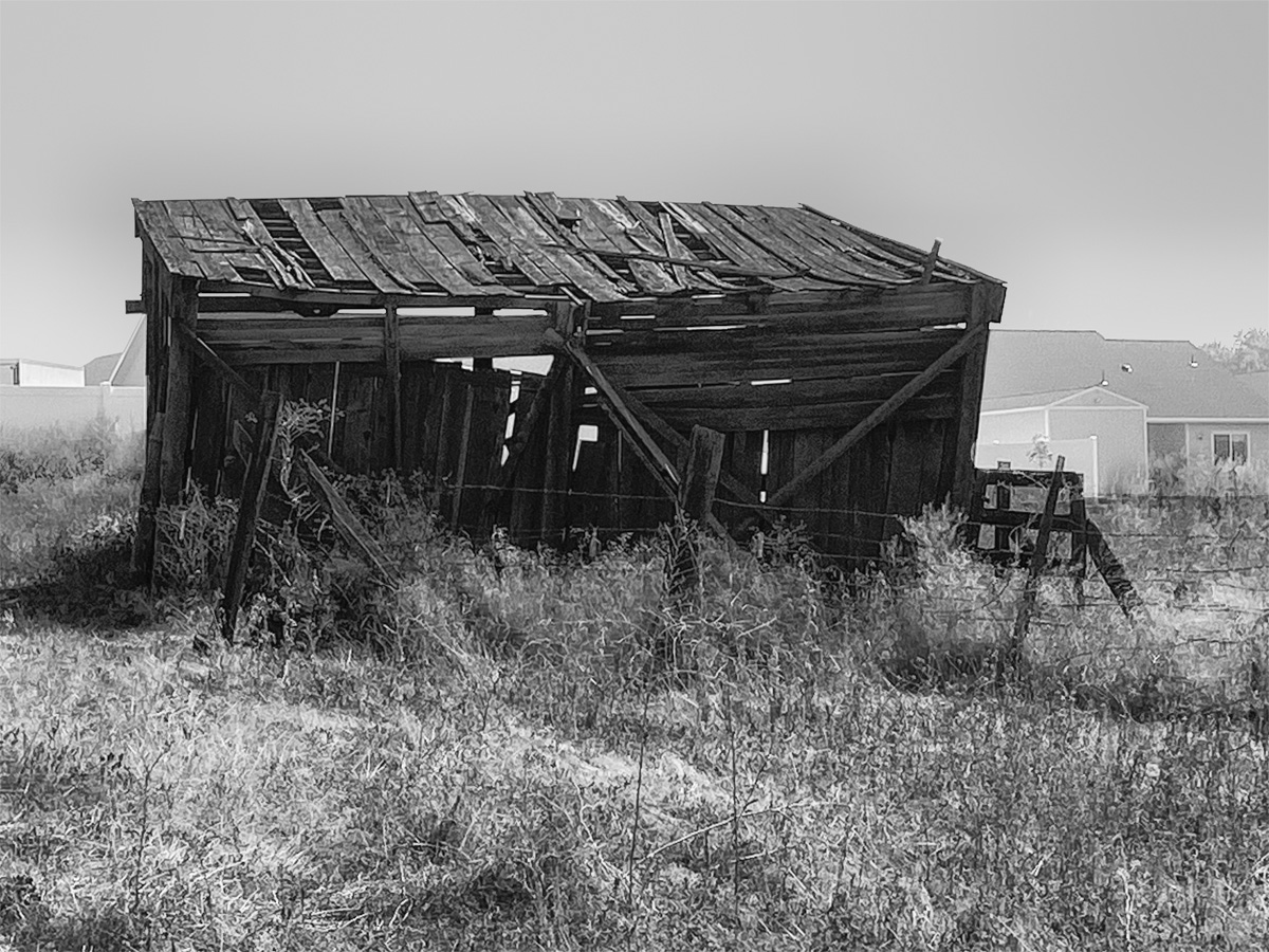 A derelict shed encountered near the new high school in Lewiston, Idaho