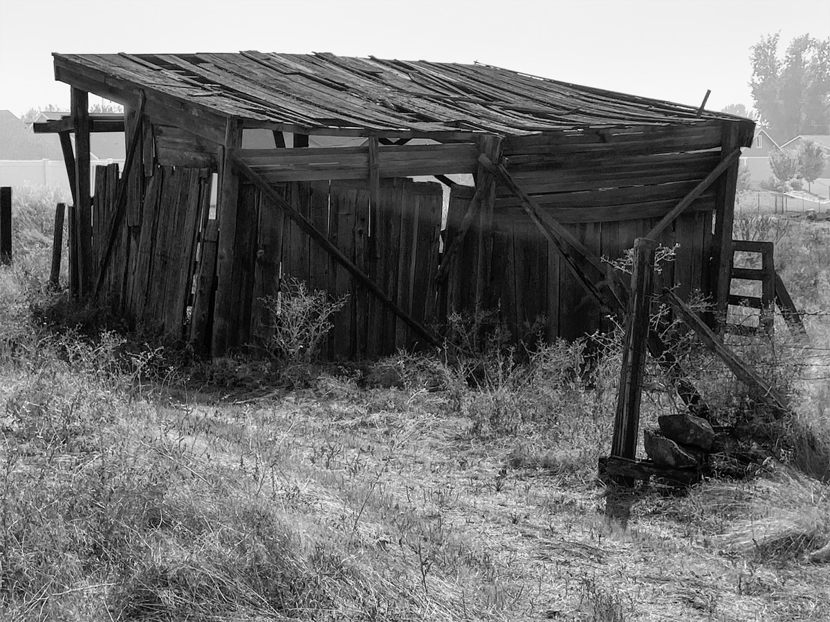 A derelict shed encountered near the new high school in Lewiston, Idaho
