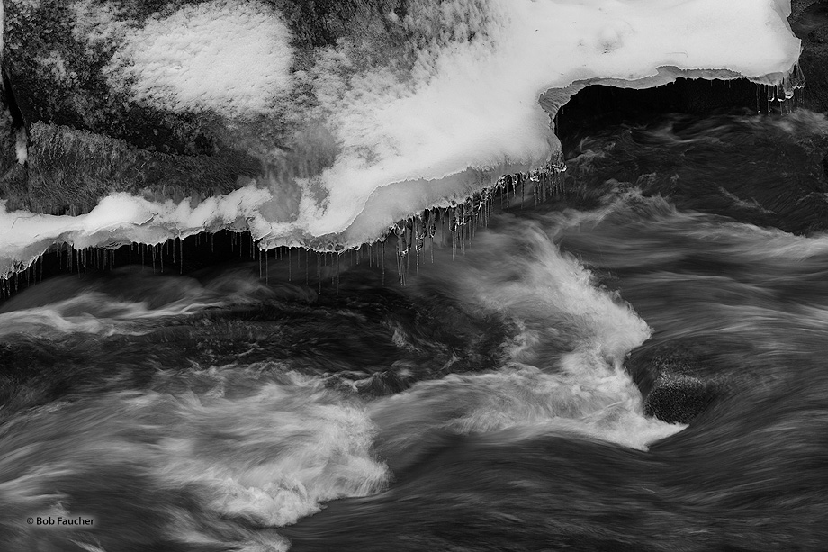 Ice and snow shelves form on the sides of rocks along the river. These, in turn, form icicles from snow melt and water splashed...