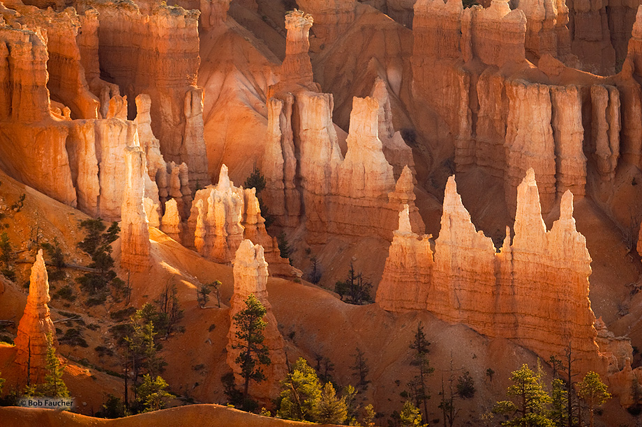 Small clusters of neaby hoodoos share the warmth of early morning sun in Bryce Canyon.