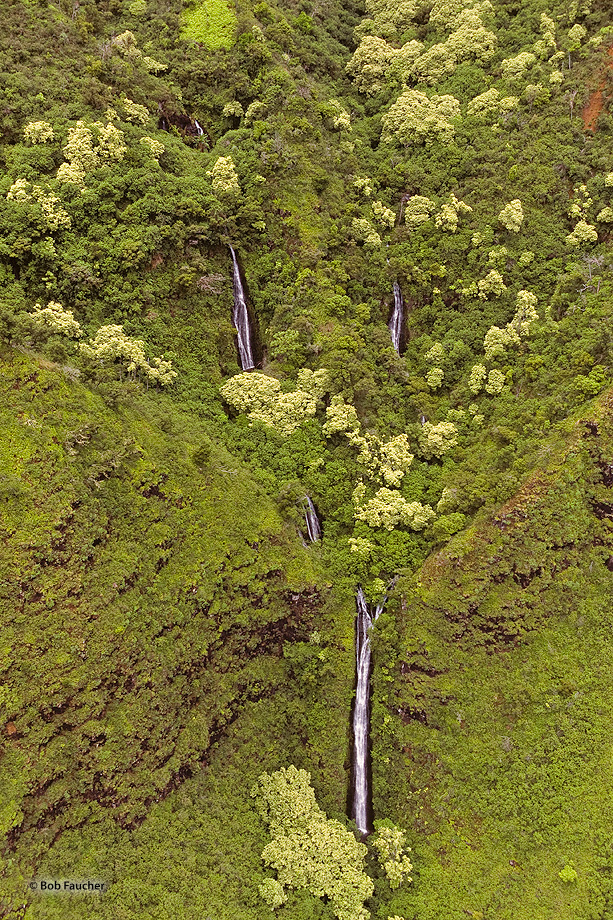 Kalalau valley is renowned for its natural beauty; it is surrounded by lush cliffs more than 2,000 feet (610 m) high.