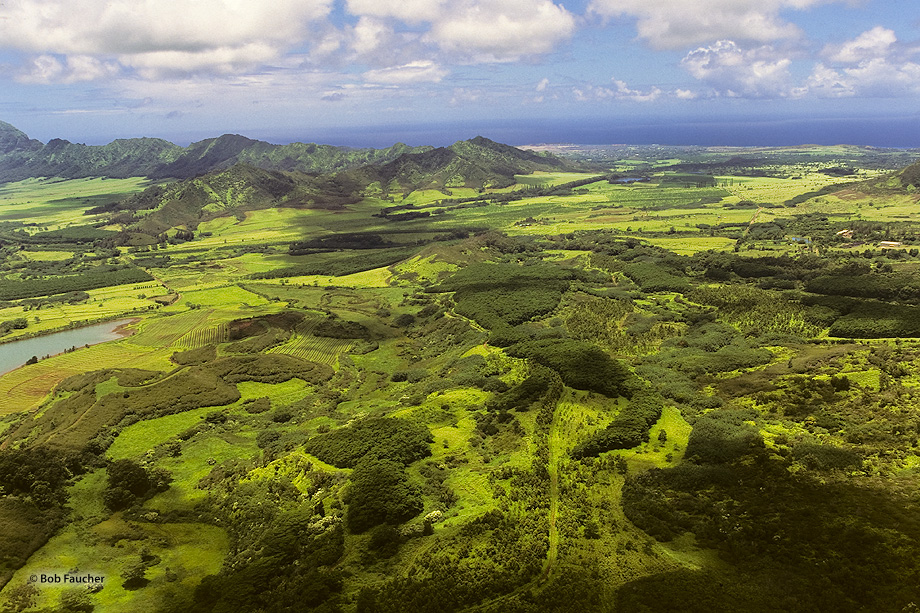 Just outside of Kilauea is the beautiful Kalihiwai valley, whose fertile lands are watered by the river of the same name.