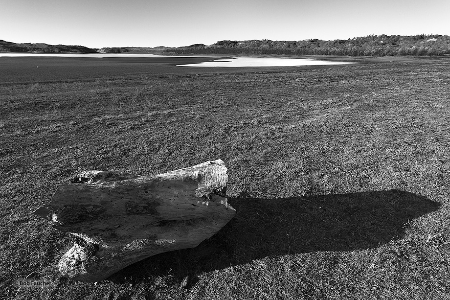 The drought in California has reduced Lake Mendocino to historically low levels. Normally, where the photograph was made from...