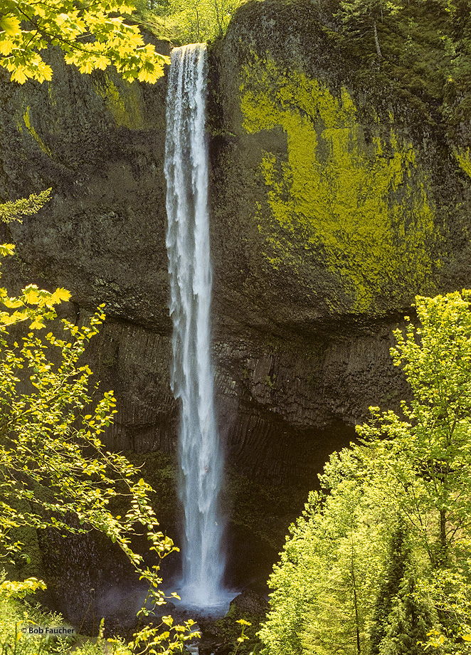 Latourell is unique among the best-known Columbia Gorge waterfalls, in the way that it drops straight down from an overhanging...