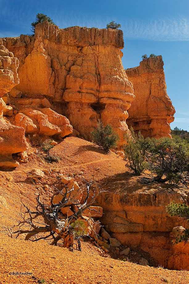 The Arches Trail in Losee Canyon passes by several walls with windows