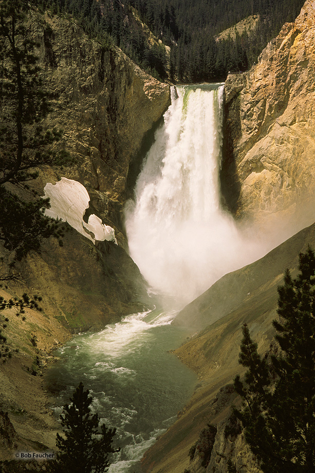 Lower Yellowstone Falls  Yellowstone NP  Robert Faucher Photography